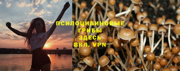 марки nbome Каменка