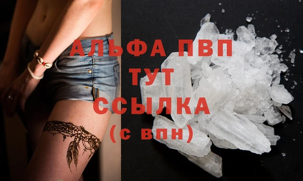 спиды Карпинск