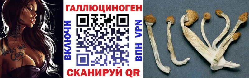 Псилоцибиновые грибы GOLDEN TEACHER  Купить где  Дальнегорск 
